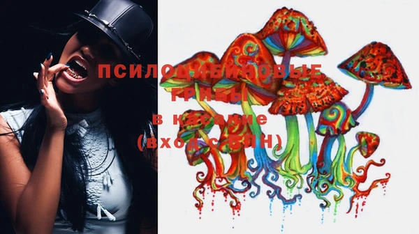 кокаин колумбия Иннополис